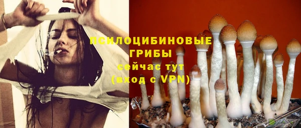 mdpv Алзамай