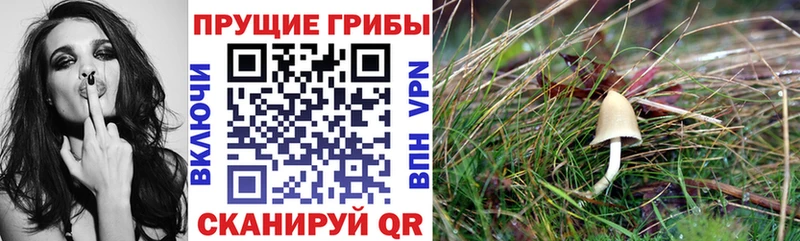 закладки  blacksprut tor  Галлюциногенные грибы мицелий  Уварово 